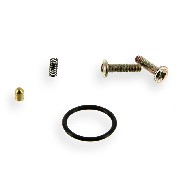 Pointeau pour contacteur de vitesse quad shineray 200cc STIIE