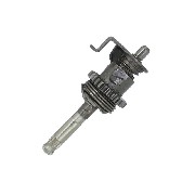 Pignonerie de boite a vitesse Quad Shineray 200cc STIIE (type 2)