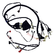 Faisceau Électrique pour Quads Shineray 250ST-5