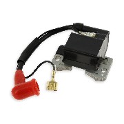 Bobine d'allumage + antiparasite en silicone pour pocket quad