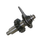 Pignonerie de marche arrière pour Quad Shineray 250cc ST-9E