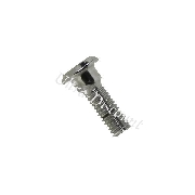 Vis de fixation de disque sur quad Shineray 250 cc (33mm)