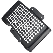 Grille de protection pour radiateur de Quad Shineray 200cc (XY200ST-6A)