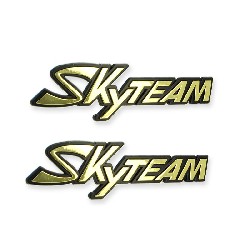 2 x Logo SkyTeam autocollant en plastique pour réservoir Trex