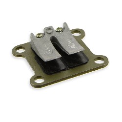 Clapet pocket bike Nitro avec lamelle carbon