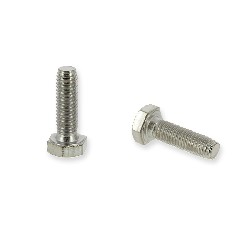 Paire de vis M6 20mm pour chassis Quads