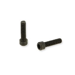 Paire de vis M4 20mm