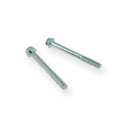 Paire de vis M6 60mm pour moteur Quad, Outillage et visserie