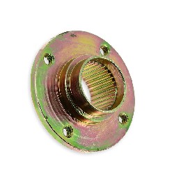 Support de disque de frein pour Quad Shineray 250 STXE