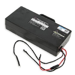 Batterie Li 60VF12Ah pour Citycoco