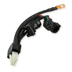 Cable de connexion 1 pour Unité de commande pour Dax Skymax 50-125cc EURO4