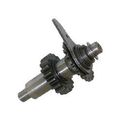 Pignonerie de marche arrière pour Quad Shineray 200cc STIIE