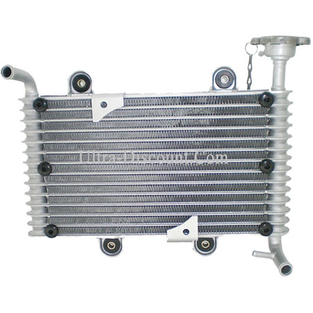 Radiateur Quad Bashan 200cc (BS200S-7) Bilder 1 Radiateur Quad Bashan 200cc (BS200S-7) Bilder 1
